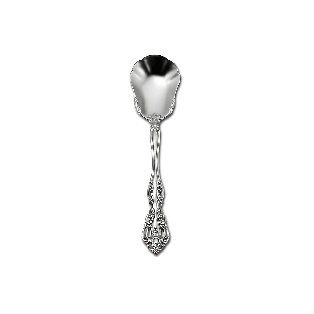 Michelangelo Sugar Spoon