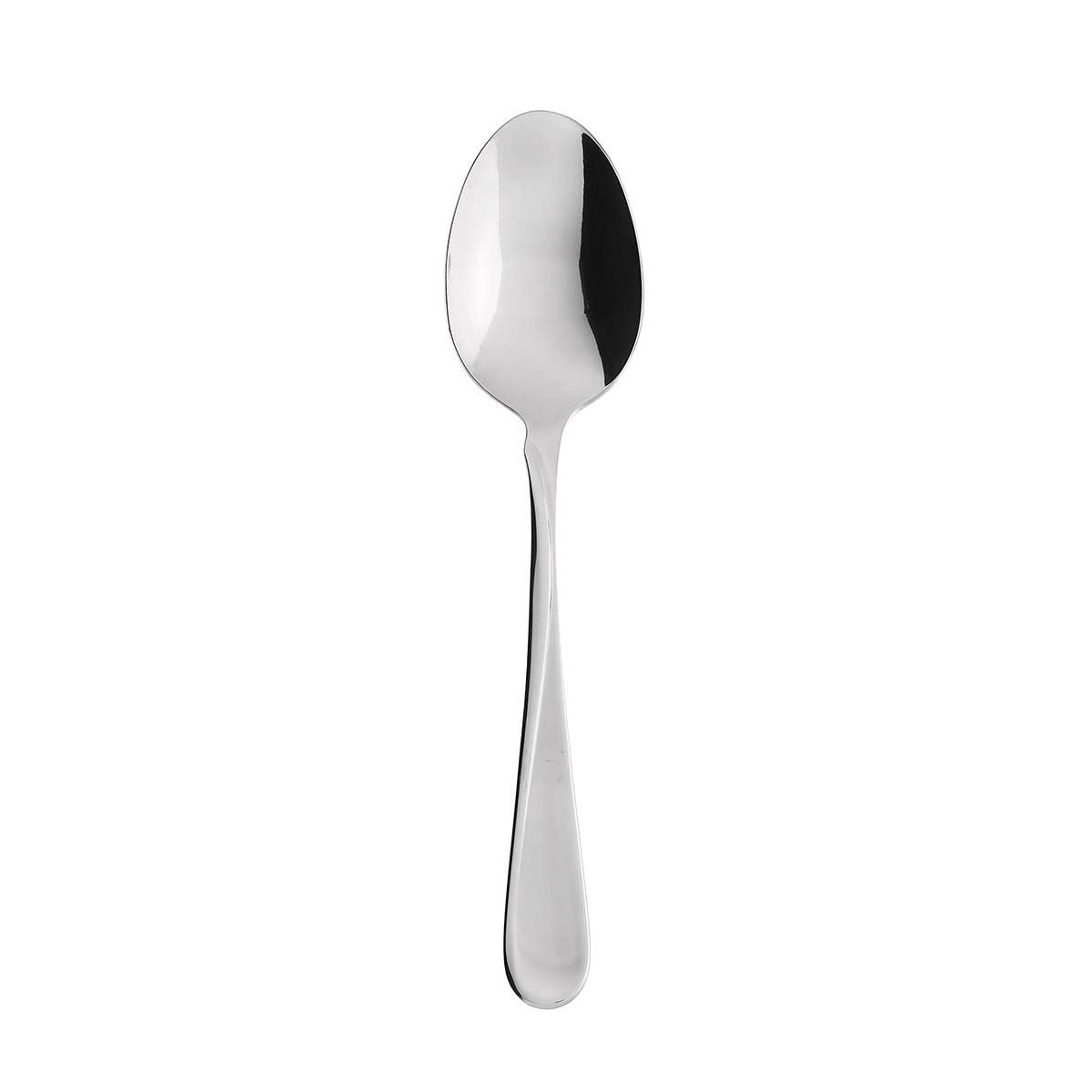 Oneida Flight Serving Spoon