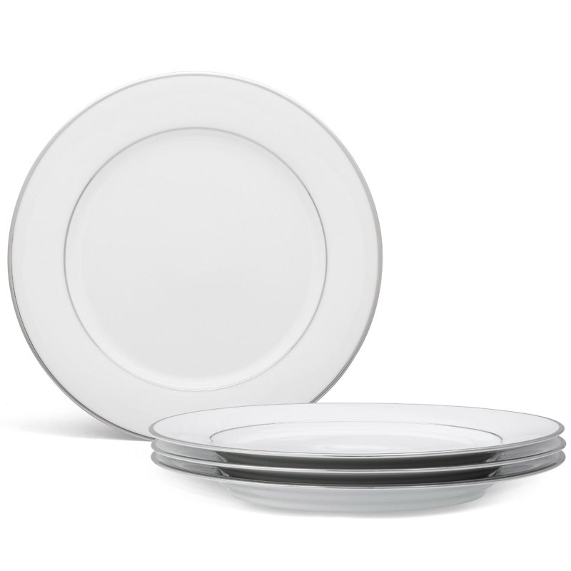 Spectrum Dinner Plate Set of 4