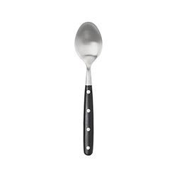 A photo of Jones Black Oval Soup Spoon