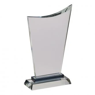 Crystal black modern style trophy