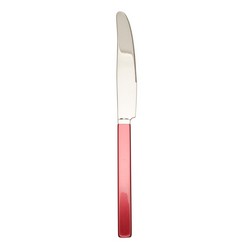 A photo of City Red Dinner Knife