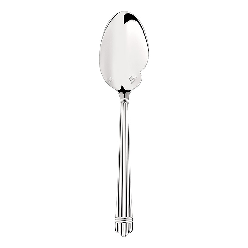 Aria Silverplate Gourmet Sauce Spoon