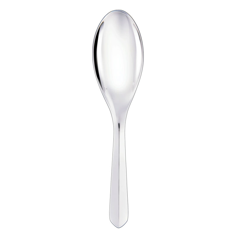 Infini Serving Spoon