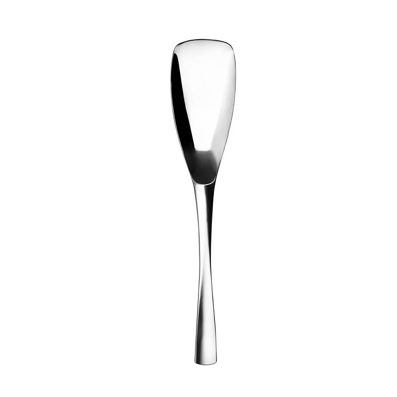 XY Mirror Serving Spoon