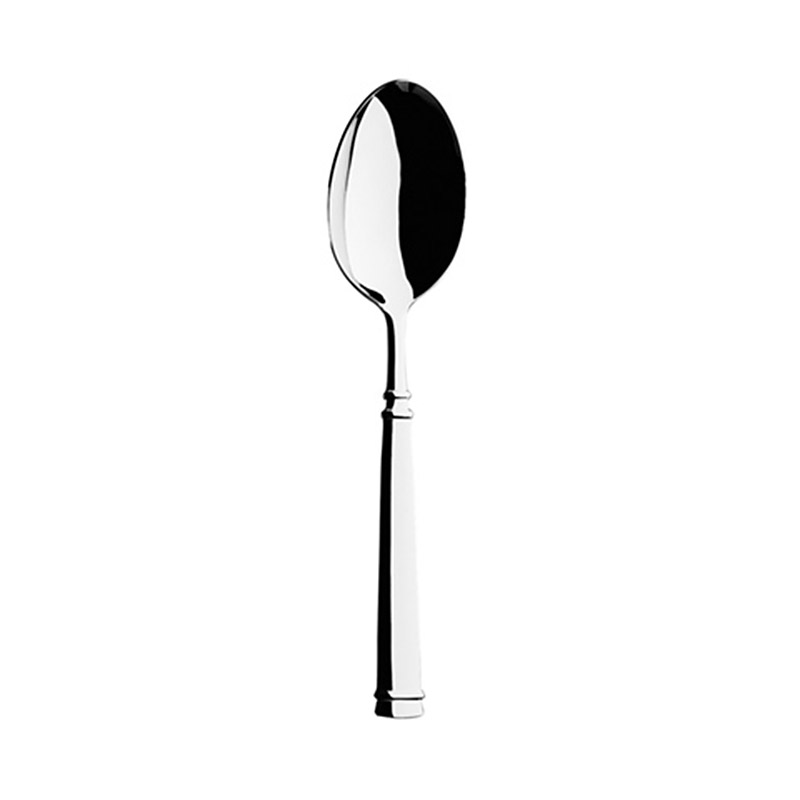 Absolu Serving Spoon