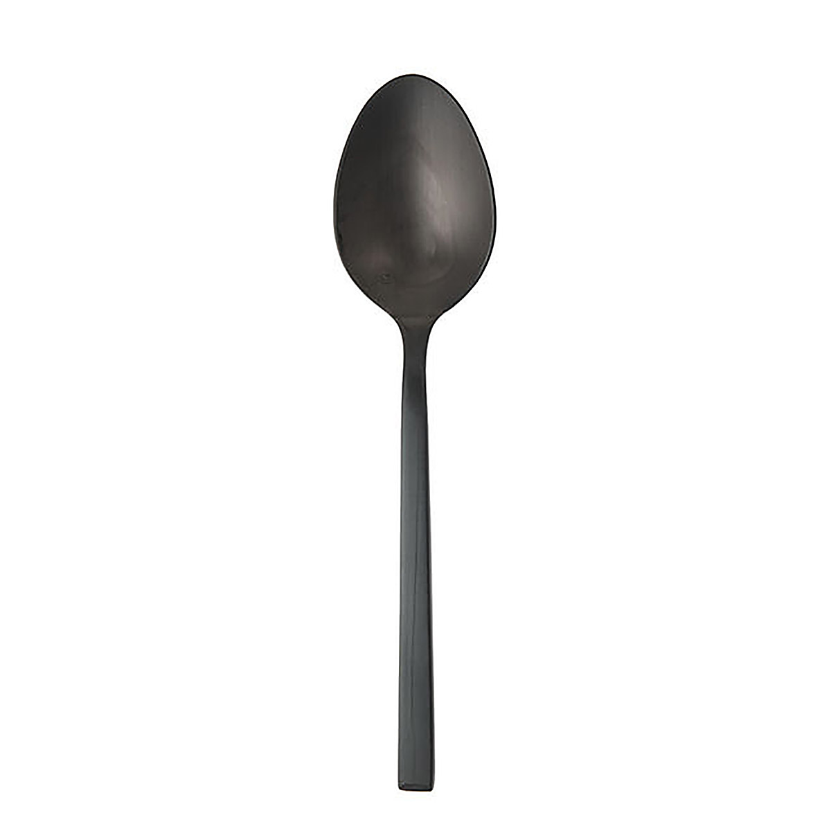 Arezzo Brushed Black Serving Spoon