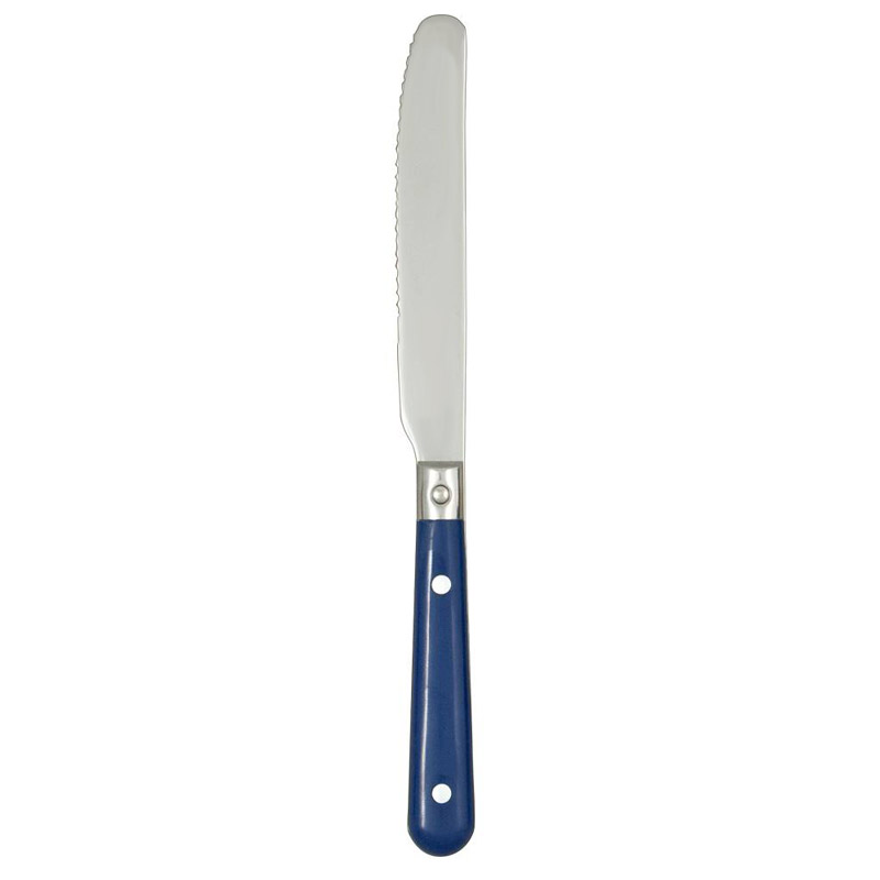 Le Prix Bright Blue Dinner Knife