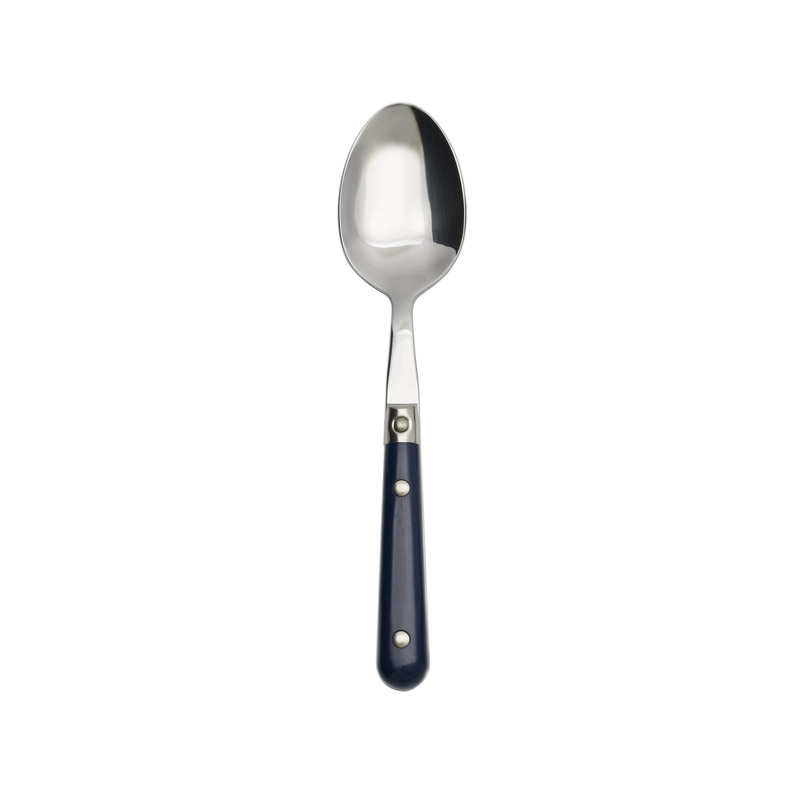 Le Prix Navy Blue Serving Spoon