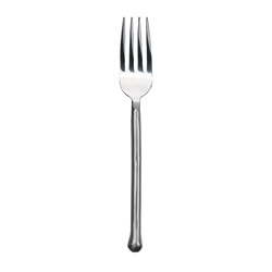 A photo of Exotique Platinum Dinner Fork