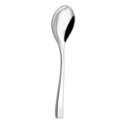 A photo of Steel Serving Spoon