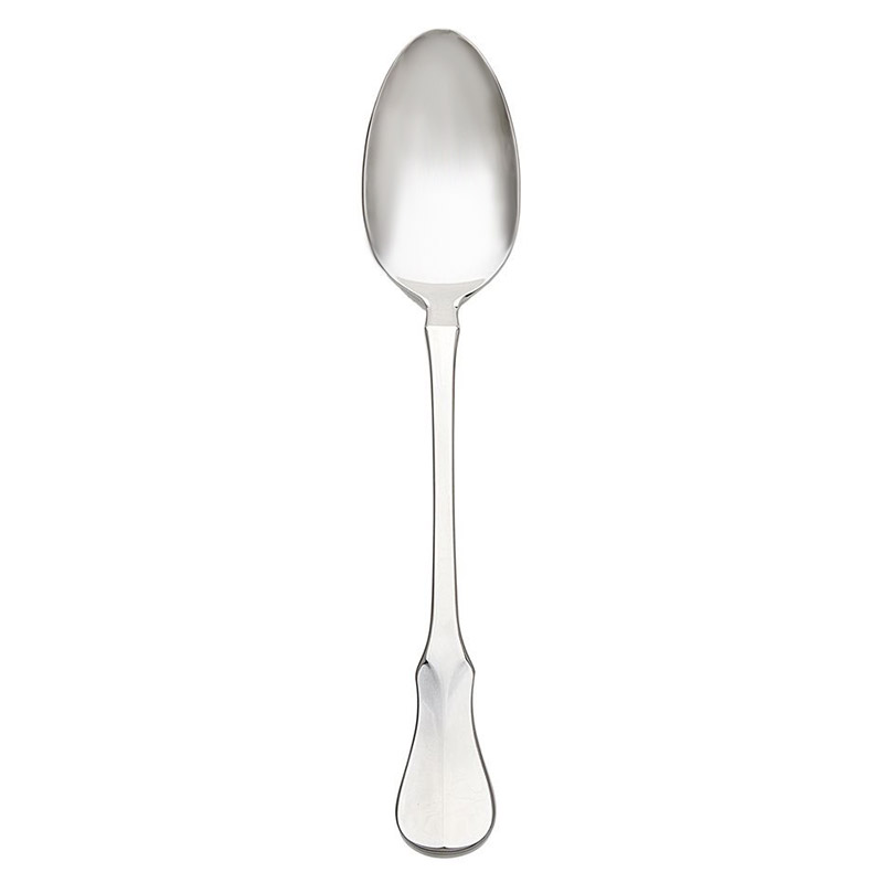 Violino Satin Serving Spoon