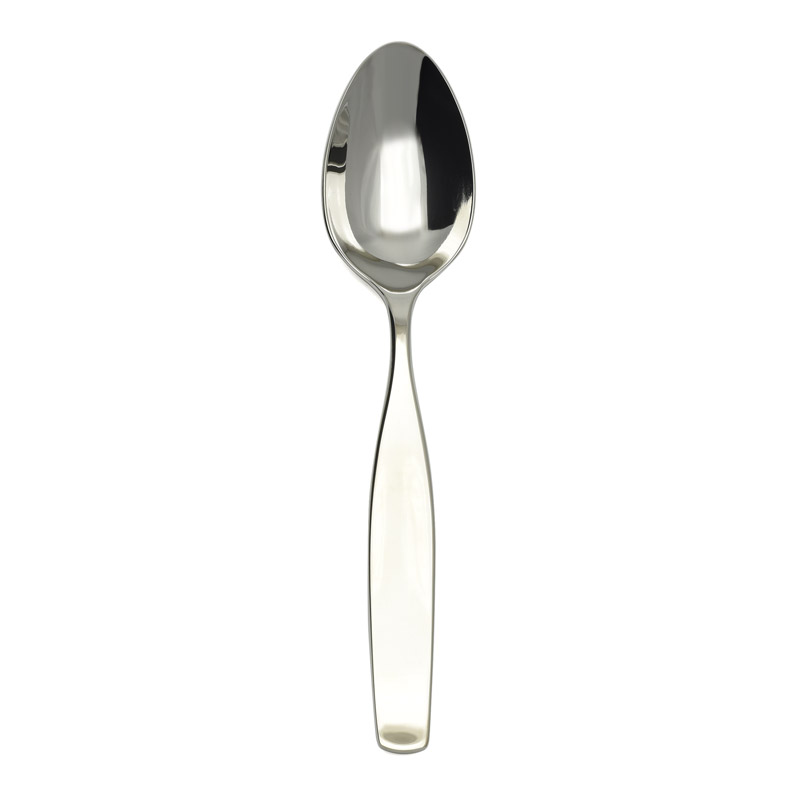 Alden Serving Spoon