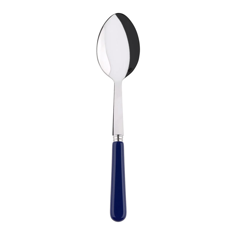 Pop Navy Blue Serving Spoon