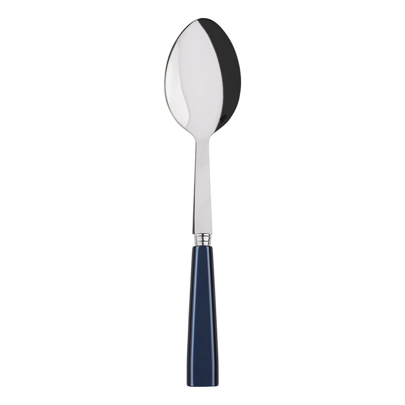 Icone Steel Blue Serving Spoon