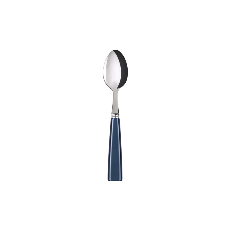 Icone Steel Blue Teaspoon