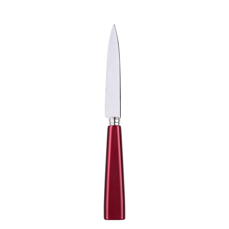 Icone Red Kitchen Knife