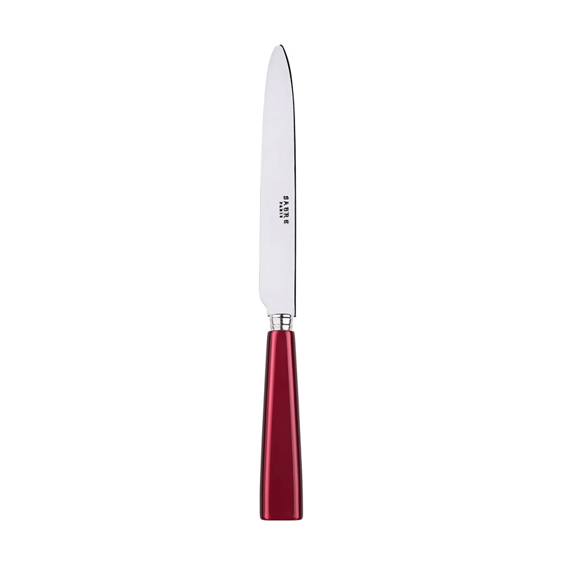 Icone Red Dinner Knife