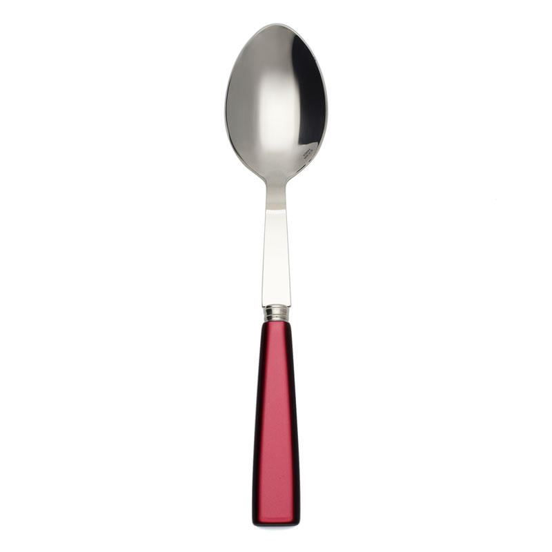 Icone Red Serving Spoon