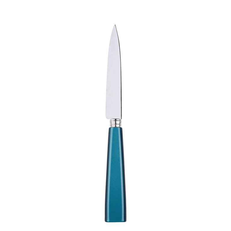 Icone Turquoise Kitchen Knife