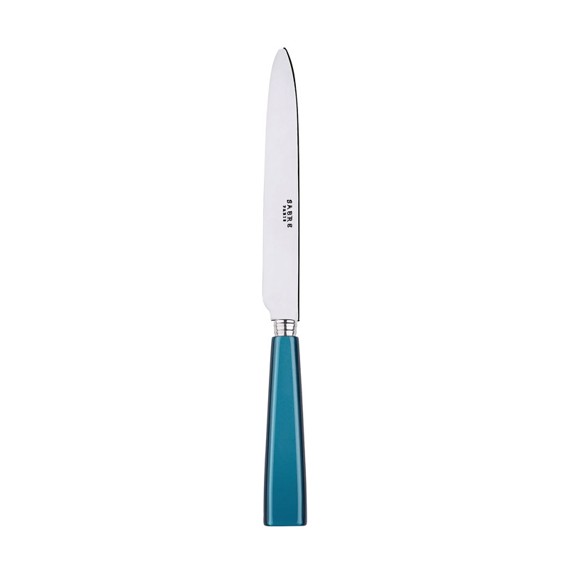 Icone Turquoise Dinner Knife