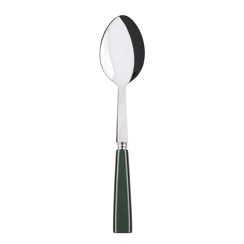 Natura Dark Green Serving Spoon