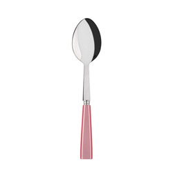 A photo of Serving Spoon