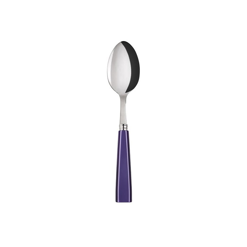 Icone Purple Soup Spoon