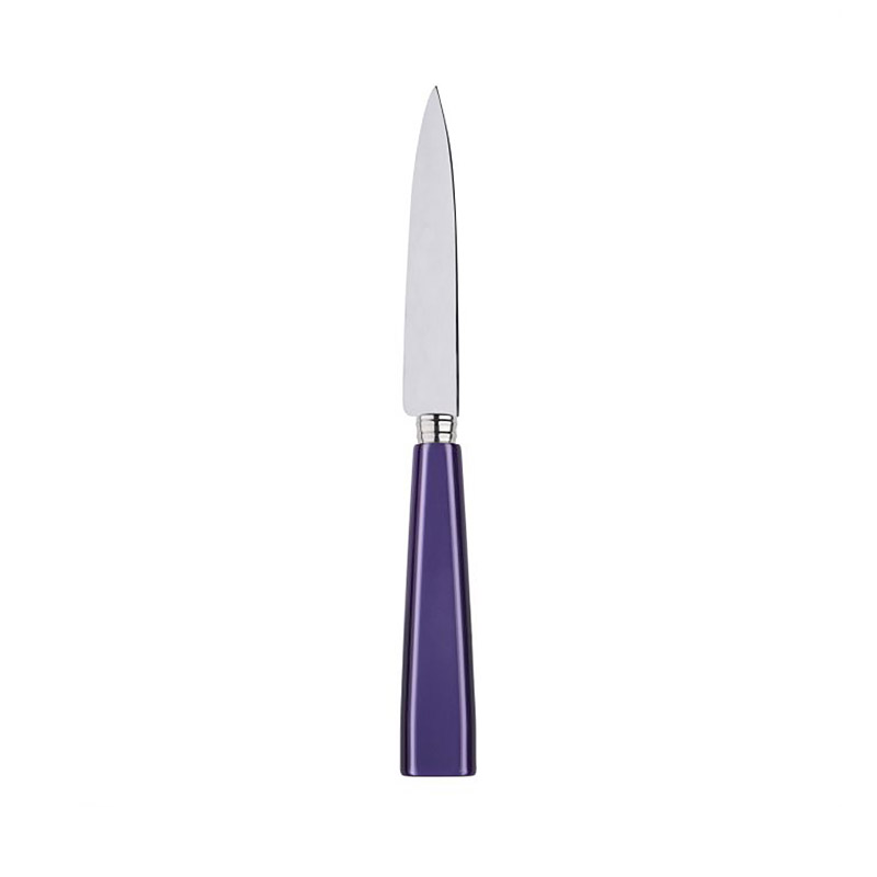 Icone Purple Kitchen Knife