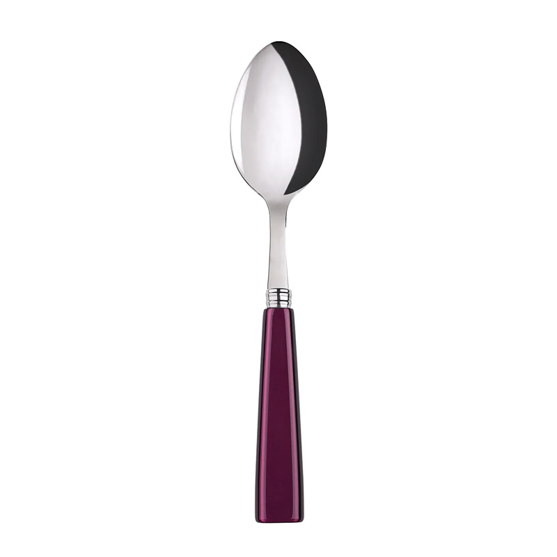 Icone Aubergine Soup Spoon