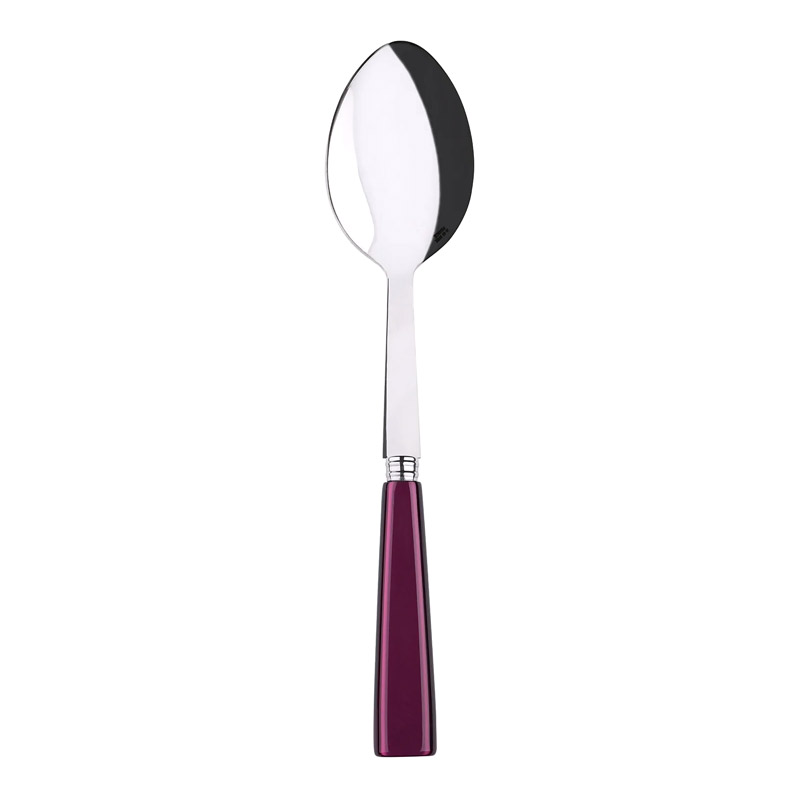 Icone Aubergine Serving Spoon