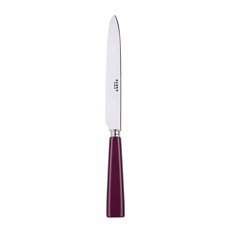 Icone Aubergine Dinner Knife