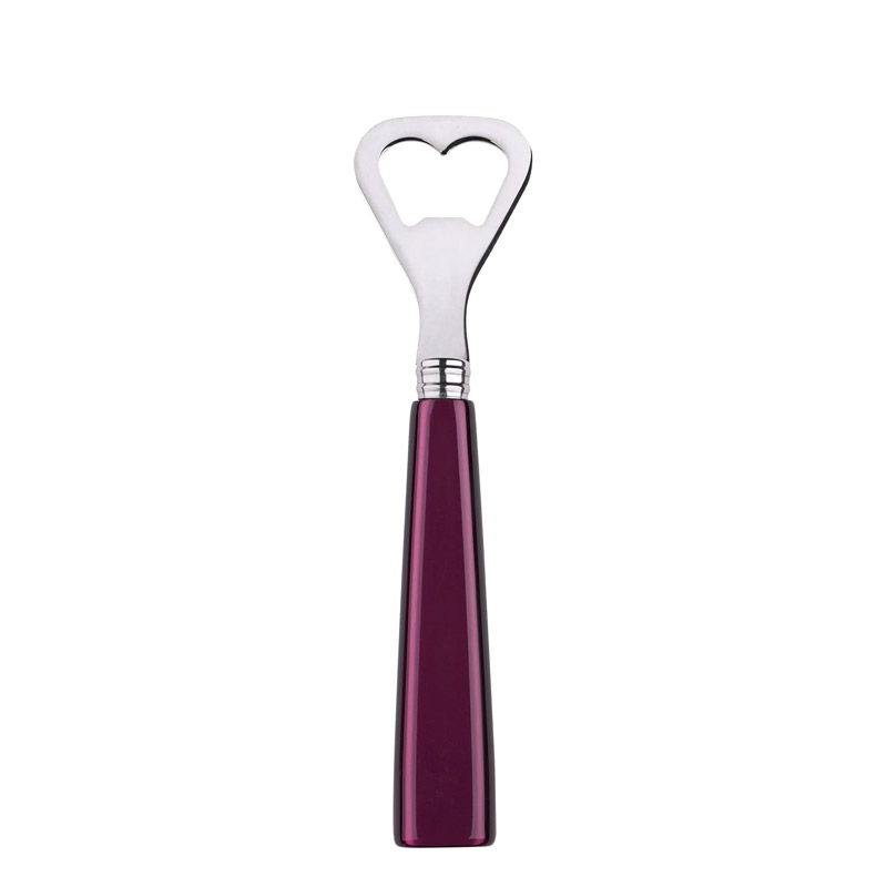 Icone Aubergine Bottle Opener