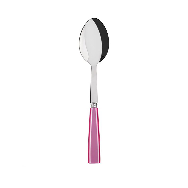 Icone Pink Serving Spoon