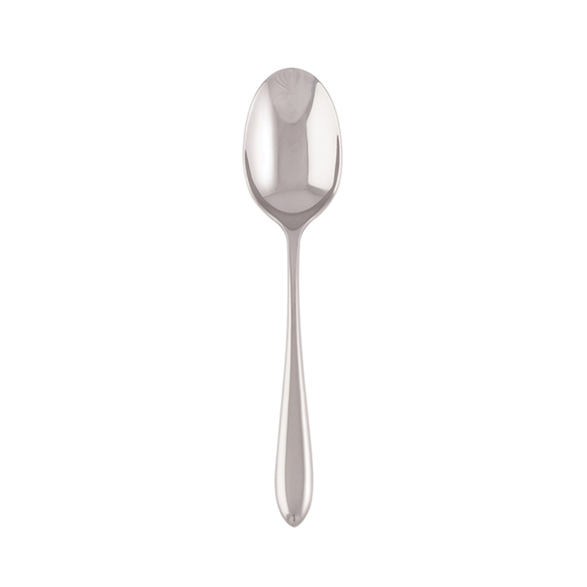 Dream Dessert Spoon