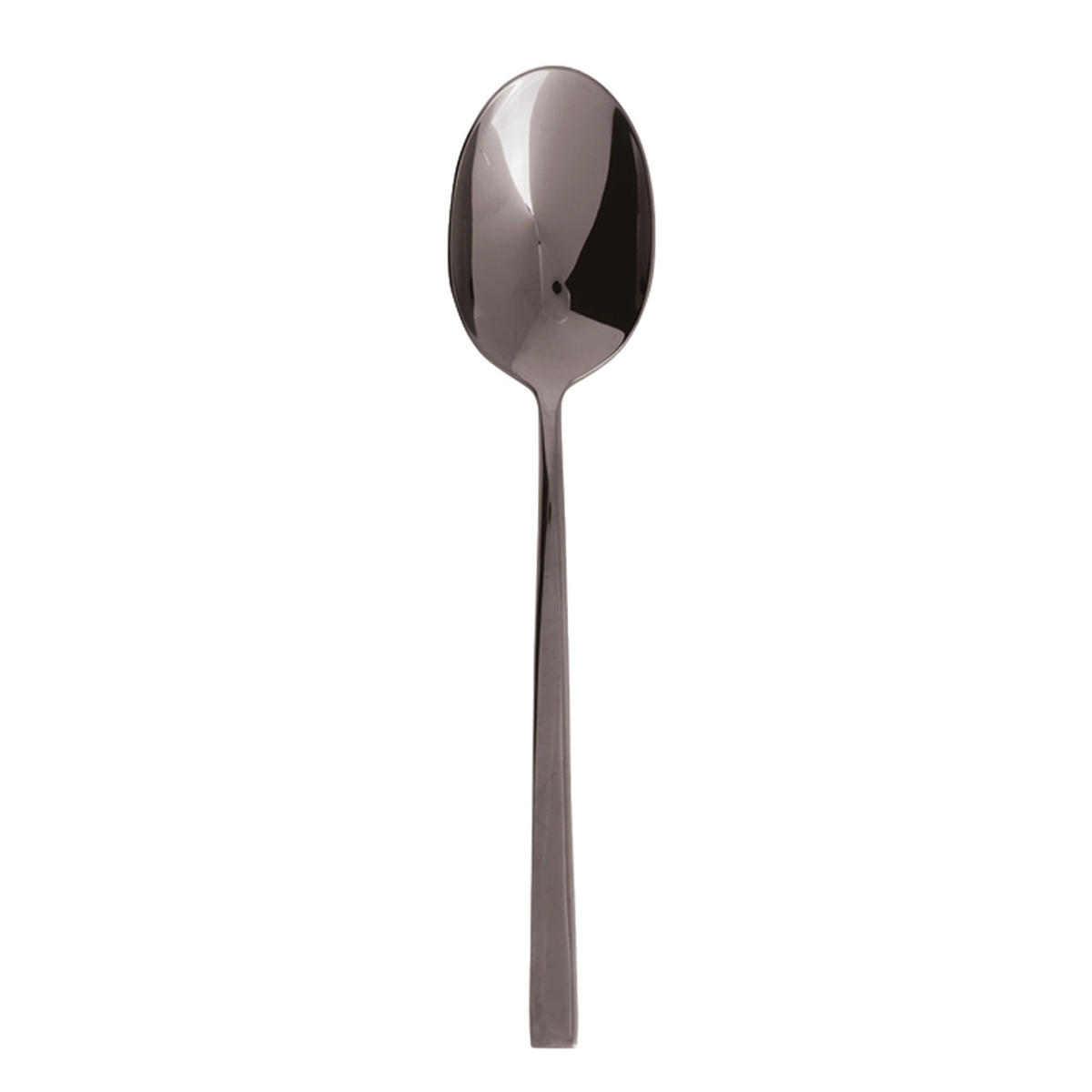 Linea Q Black Serving Spoon