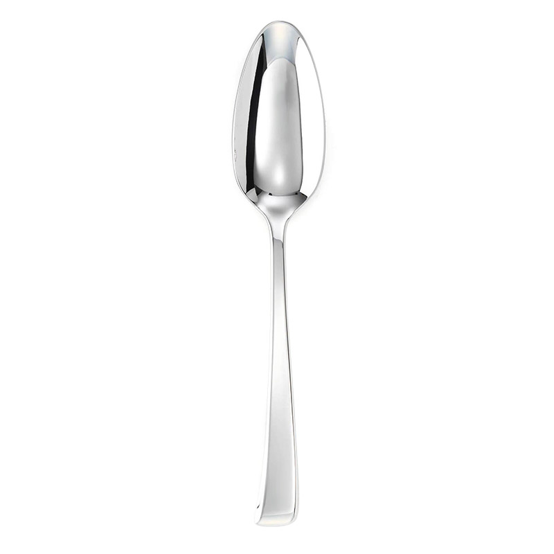 Imagine Silverplate Serving Spoon