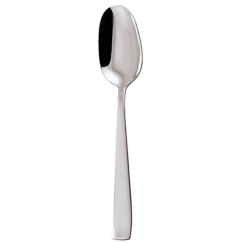 Flat Serving Spoon