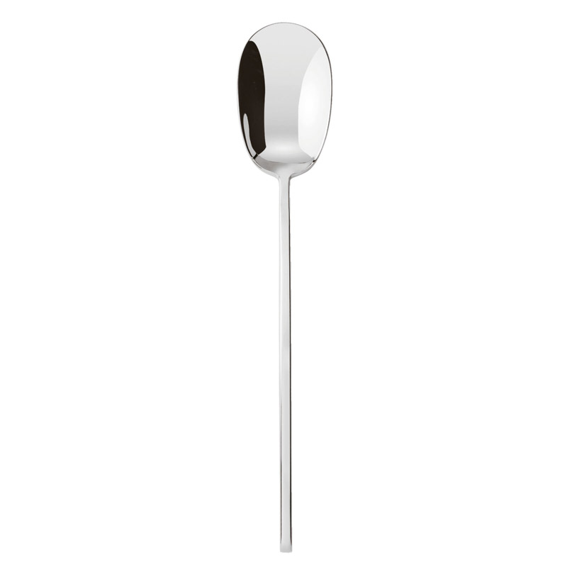 100 Dessert Spoon