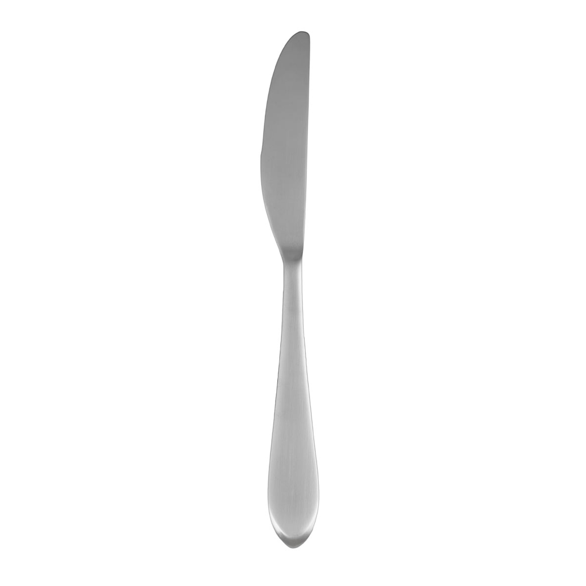 Fiesta Maraca Satin Dinner Knife