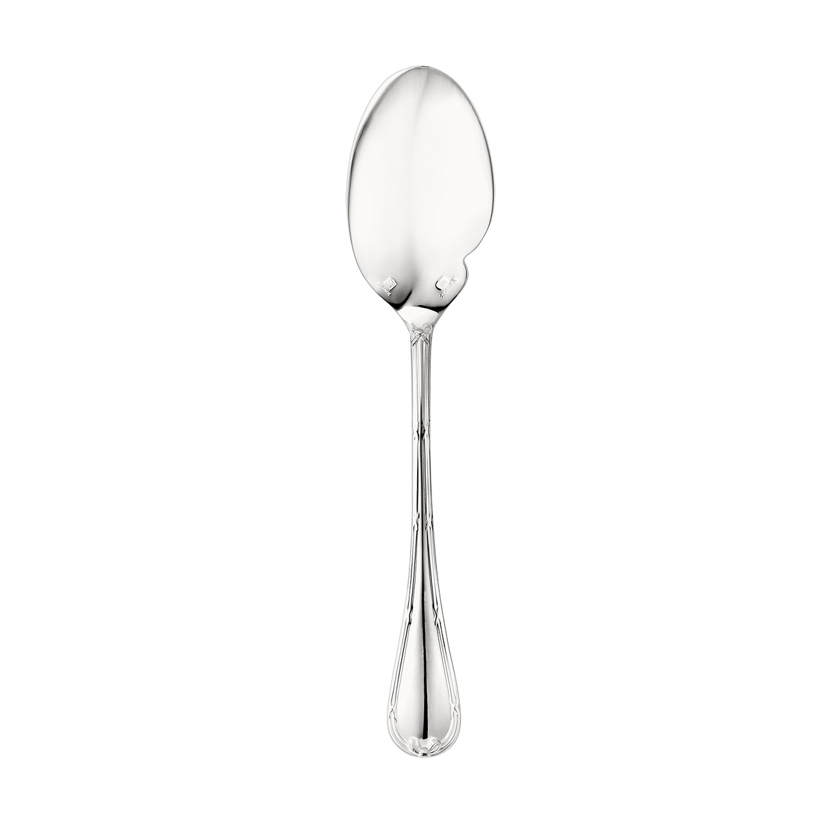 Gourmet Sauce Spoon