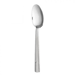 A photo of Hudson Serving Spoon