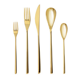 Dragonfly Gold flatware by Fortessa at Silver Superstore!