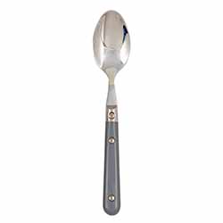 A photo of Le Prix Gray Teaspoon