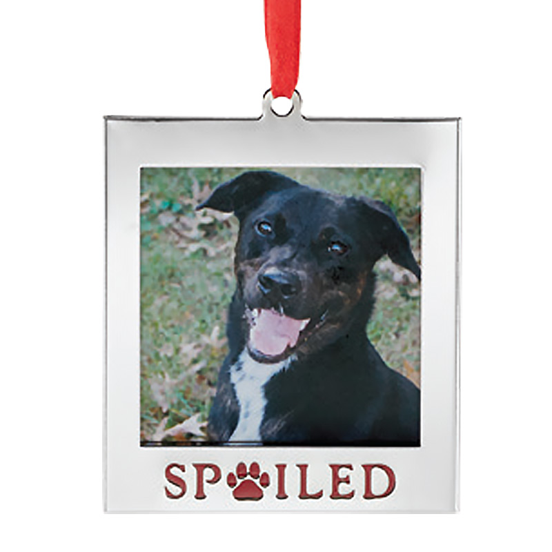 Spoiled Pet Picture Frame