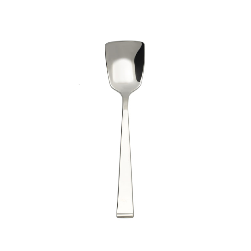 Arctic Sugar Spoon