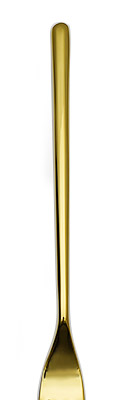 Fortessa Dragonfly Gold Stainless Steel Silverware